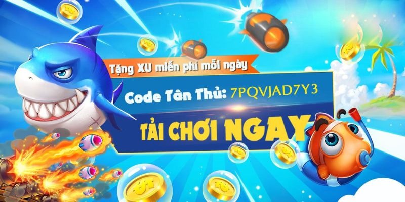 Đôi nét về săn cá Bingo