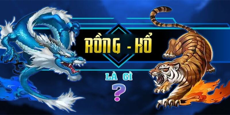 Giới thiệu về tựa game Rồng Hổ